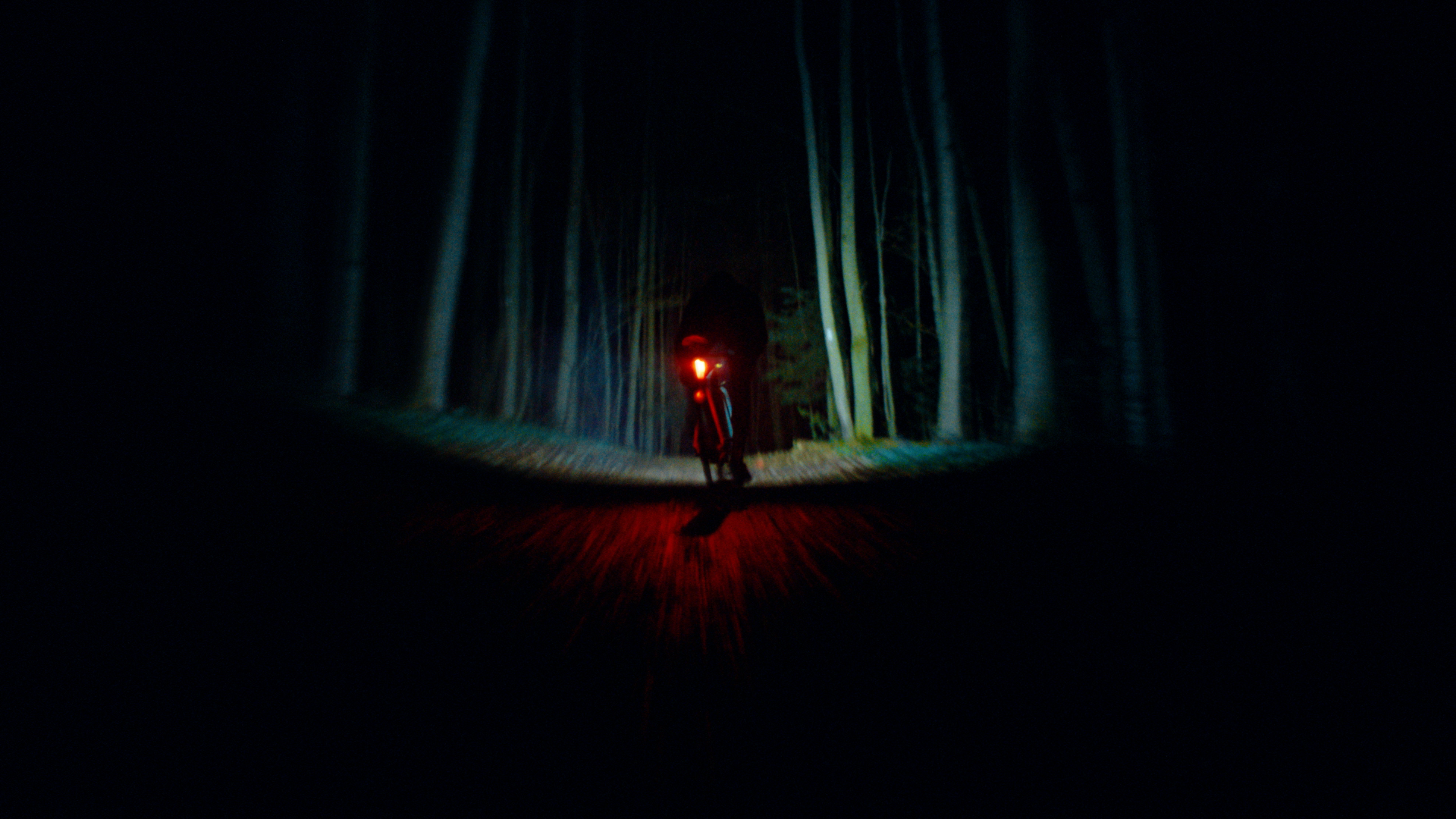 Bridge_JoyRide_Long_16x9_ProRes.00_01_10_17.Still107