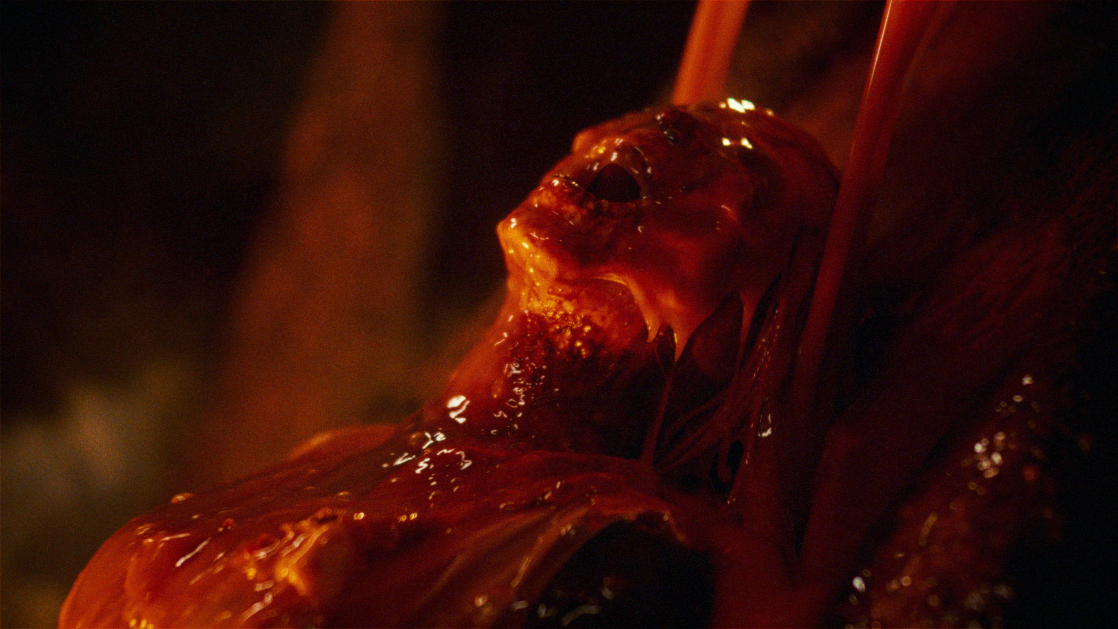 KidsvsAliens_Feature_UHD_4444_8Trk_V3_20221202.mov.01_43_12_22.Still369