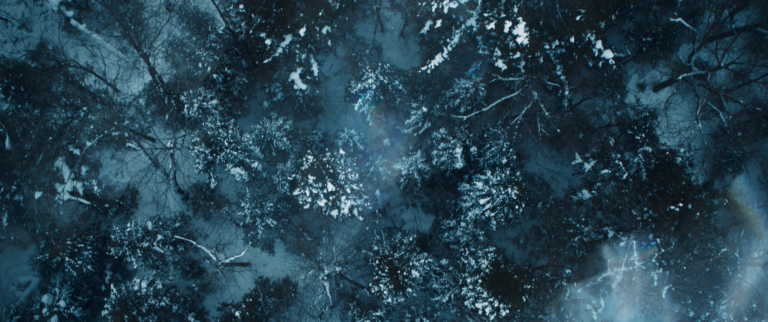 LexusIS_DirCut_2048x858.mov.10_00_03_02.Still002